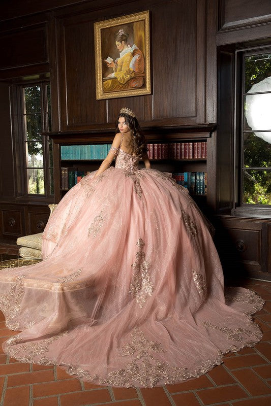 Off Shoulder Epaulets W/ Tulle Train