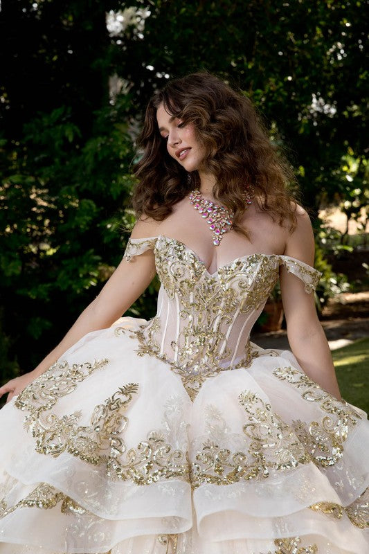 Long Train Embroidered Quince Dress