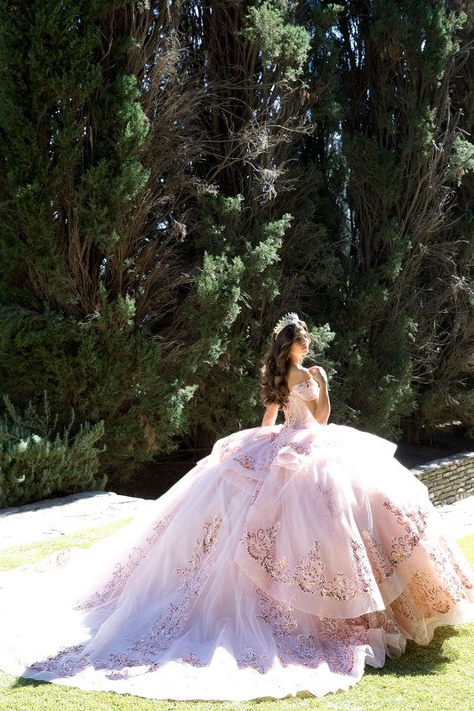 Long Train Embroidered Quince Dress