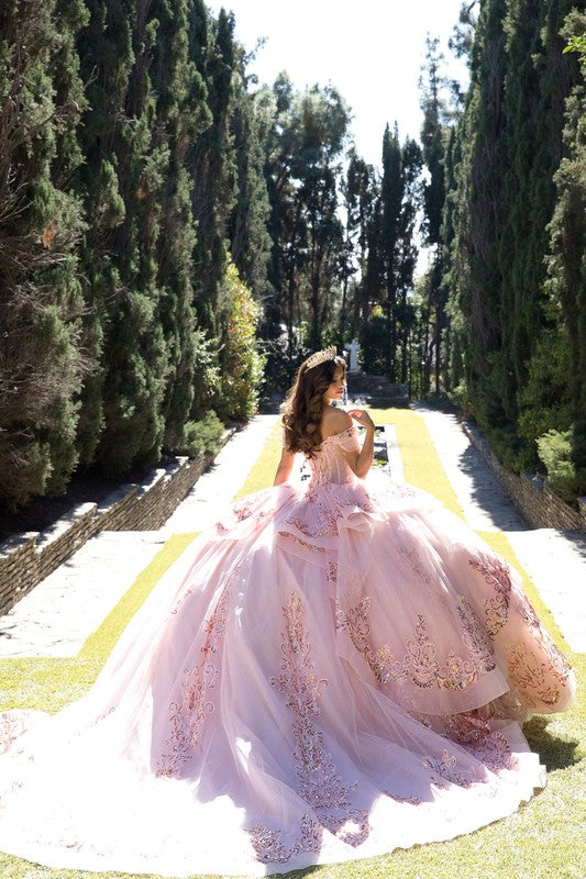 Long Train Embroidered Quince Dress