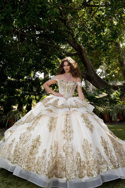 Long Train Embroidered Quince Dress