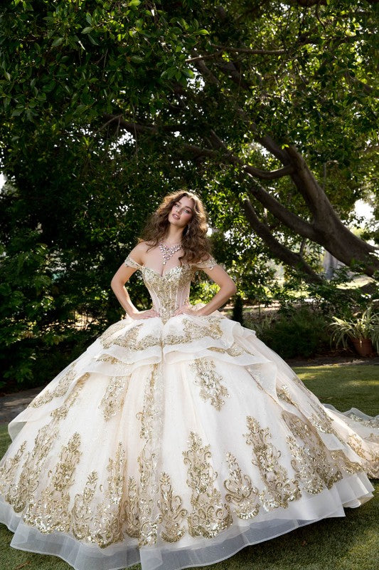 Long Train Embroidered Quince Dress