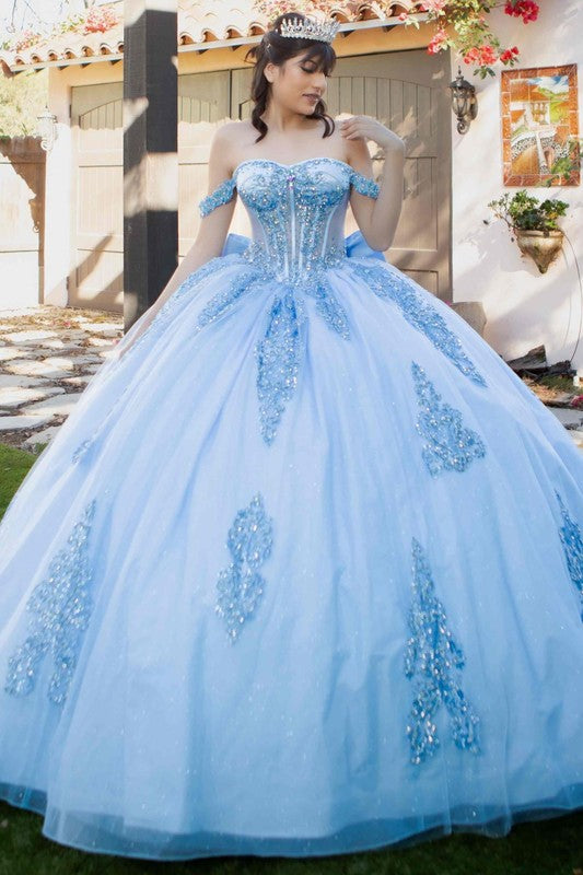 Elegant Quinceanera Princess Gown With Bow