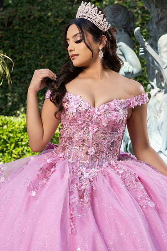 Off Shoulder 3d Floral Applique Quinceanera Dress