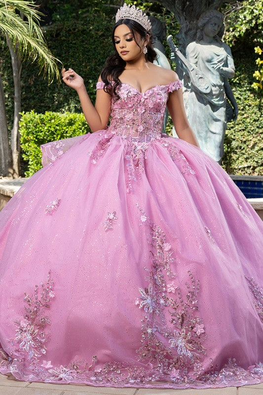 Off Shoulder 3d Floral Applique Quinceanera Dress
