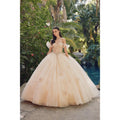 Ruffle Off Shoulder with 3D Butterfly Sheer Corset Ball Gown