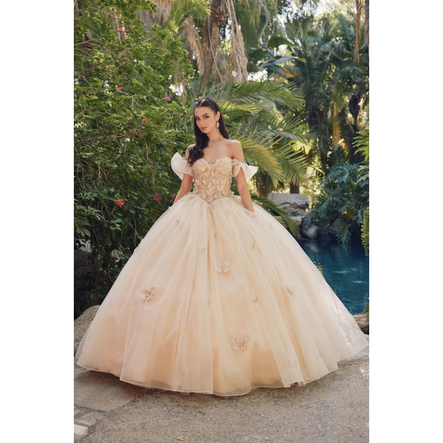 Ruffle Off Shoulder with 3D Butterfly Sheer Corset Ball Gown