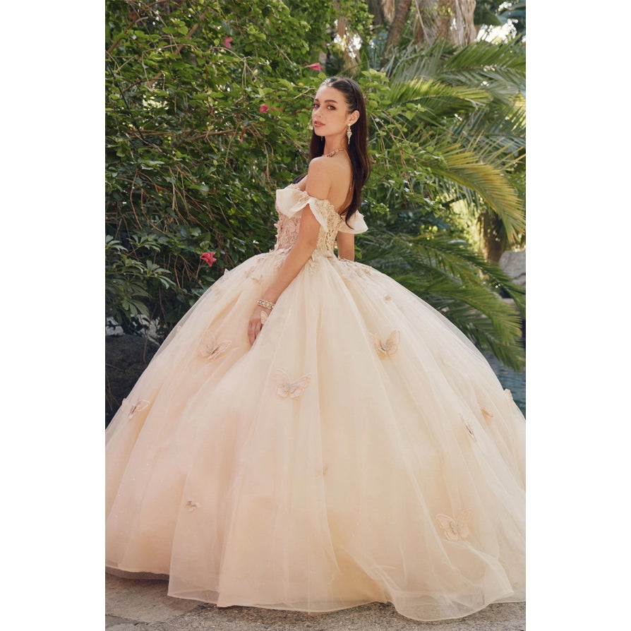 Ruffle Off Shoulder with 3D Butterfly Sheer Corset Ball Gown