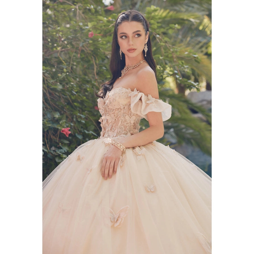 Ruffle Off Shoulder with 3D Butterfly Sheer Corset Ball Gown