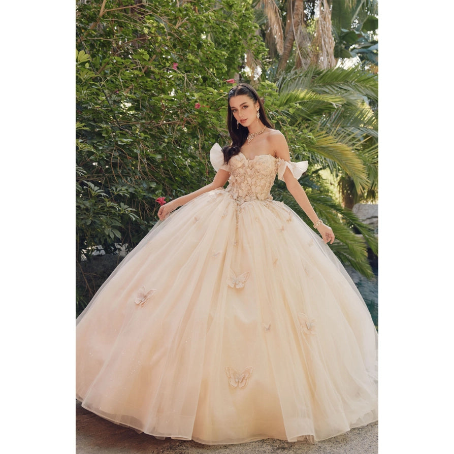 Ruffle Off Shoulder with 3D Butterfly Sheer Corset Ball Gown