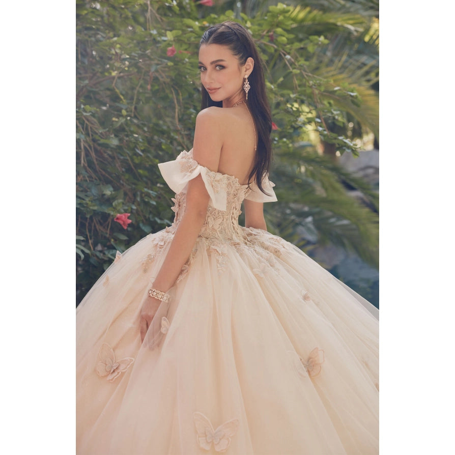 Ruffle Off Shoulder with 3D Butterfly Sheer Corset Ball Gown